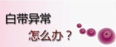 固原白带异常是哪方面的