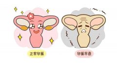 人流后月经不调的原因？